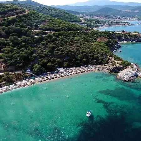 Odyssea *