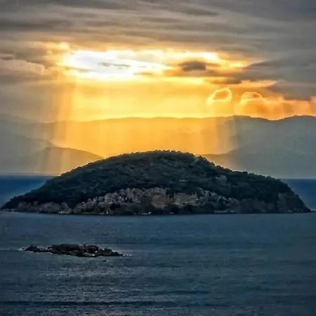 Odyssea *