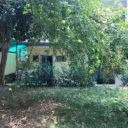 Apartment Odyssea